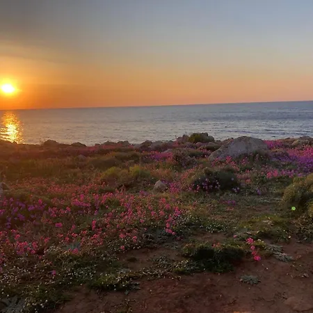 Open Space Sul Mare Кустоначи